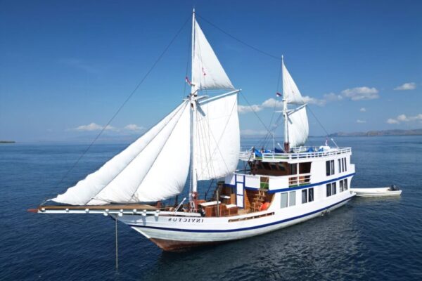 Boat deluxe invictus